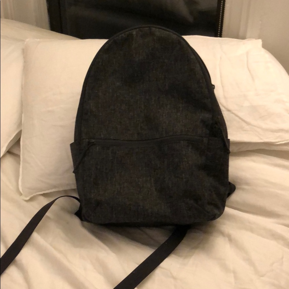 Grey Everlane Backpack